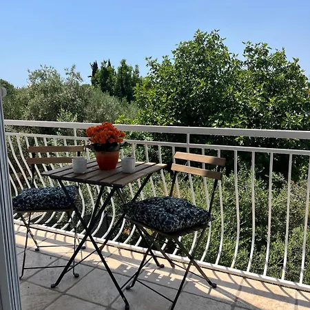 Fiorella بيت ضيافة *